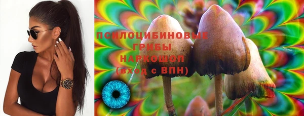 альфа пвп Корсаков