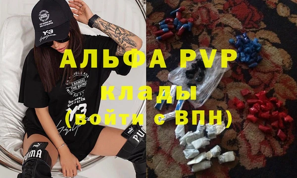 твердый Коряжма