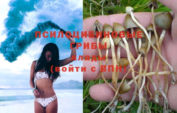 альфа пвп Корсаков