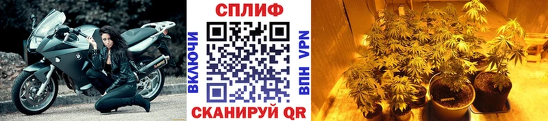 Марихуана OG Kush  Купить  Бобров 